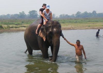 Nepal wildlife