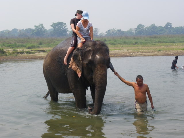 Nepal wildlife