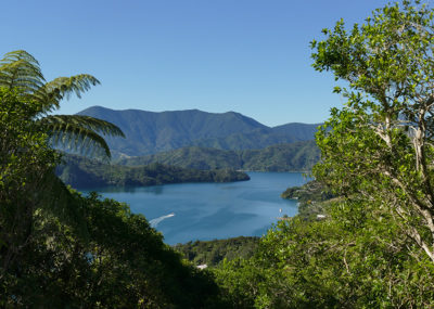 Queen Charlotte Walk NZ