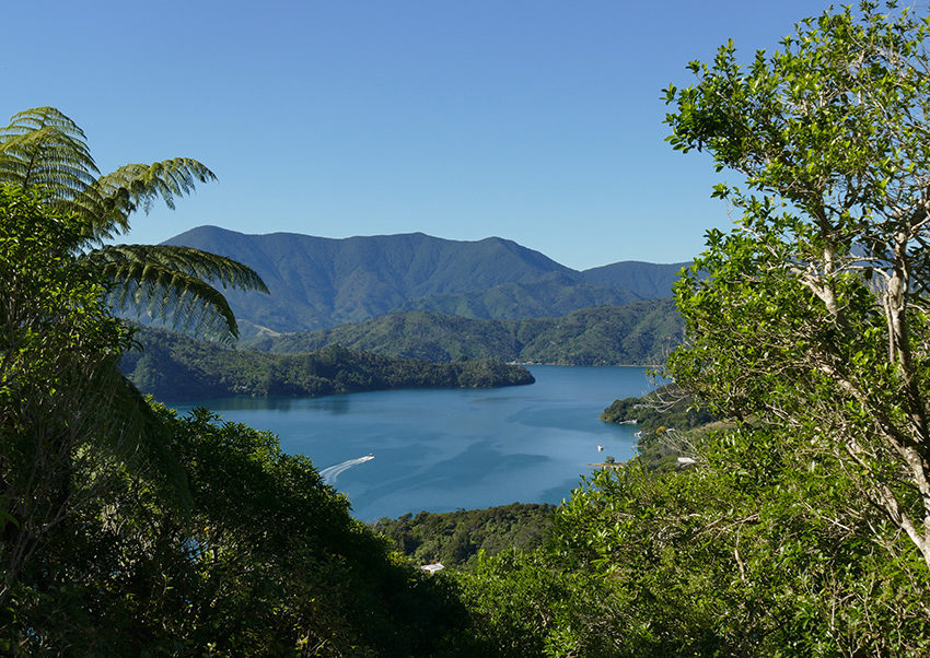 Queen Charlotte Walk NZ